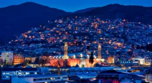 Tasarımda Güven Veren Renk ve Tipografi Seçimleri