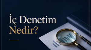 İç Denetim Nedir?