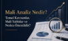 Mali Analiz Nedir? Temel Kavramlar, Mali Tablolar ve Neden Önemlidir?